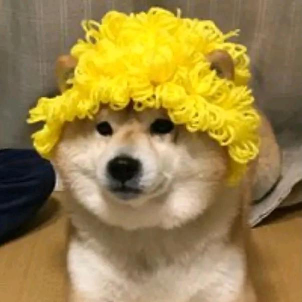 要离