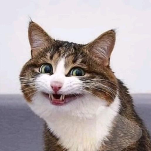 🍁𝒢𝑜𝑜𝒹 三叉戟🔱🍁