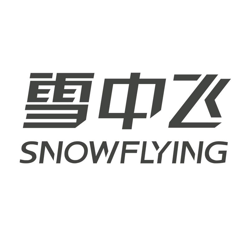 雪中飞男装时尚旗舰店