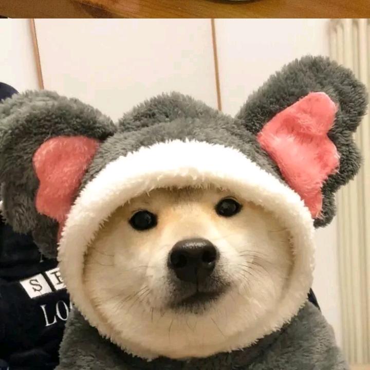 "D̶e̶s̶p̶a̶i̶r̶.̶