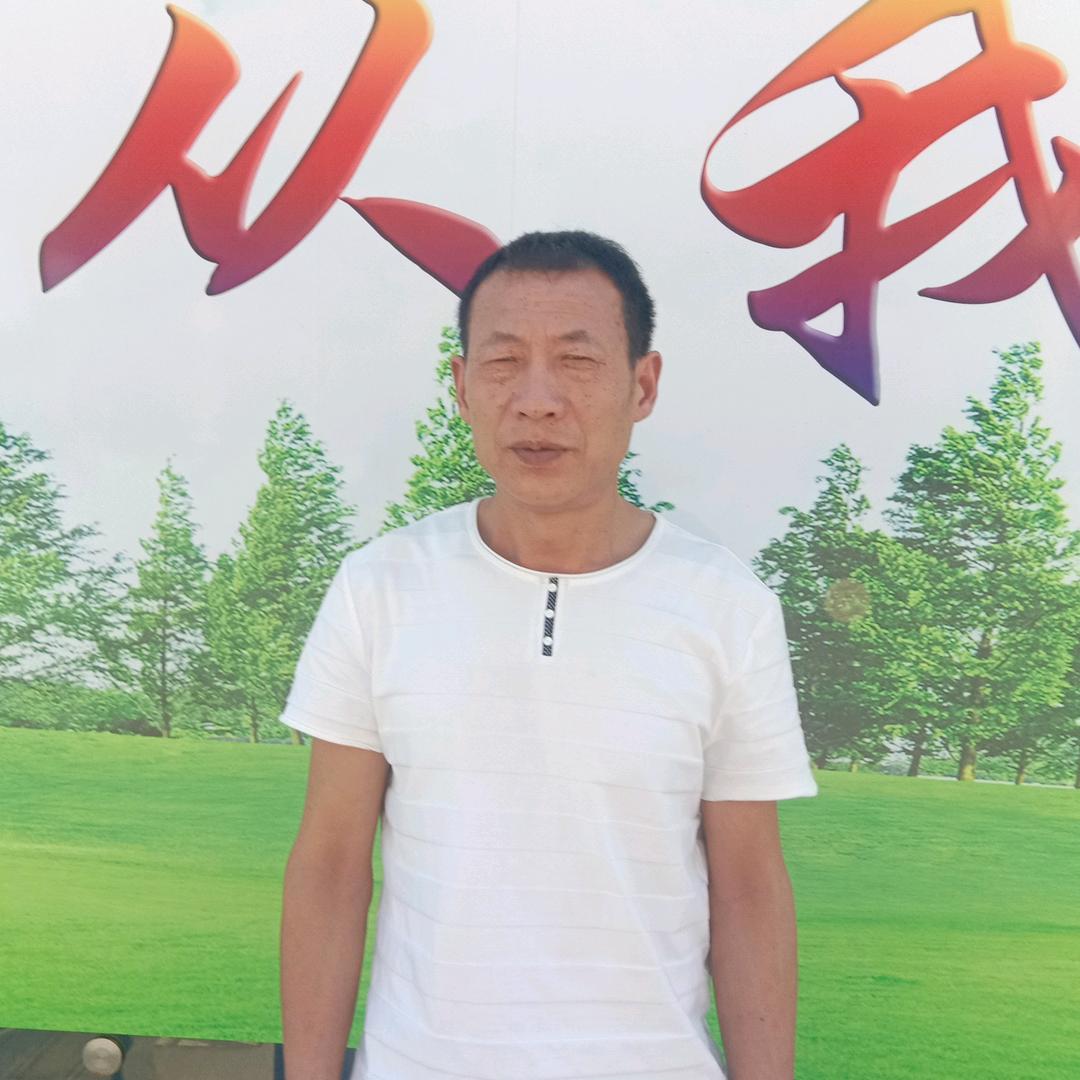 青青河边草李素军