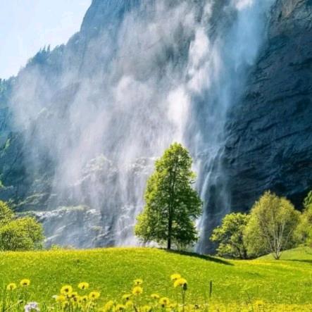 我的未来不是梦