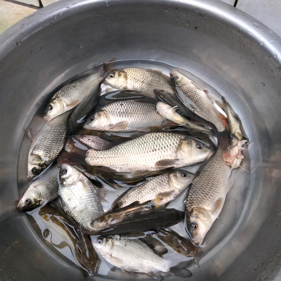 疯狂浪子