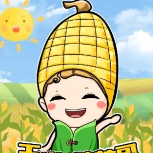 睿智高产玉米种子