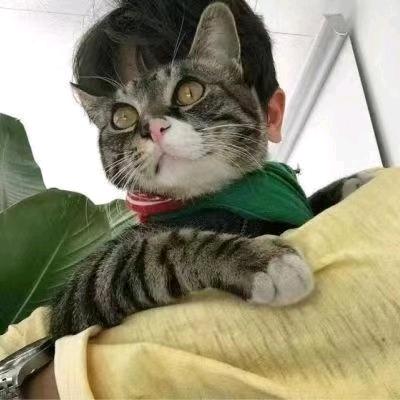 鹏辉安防