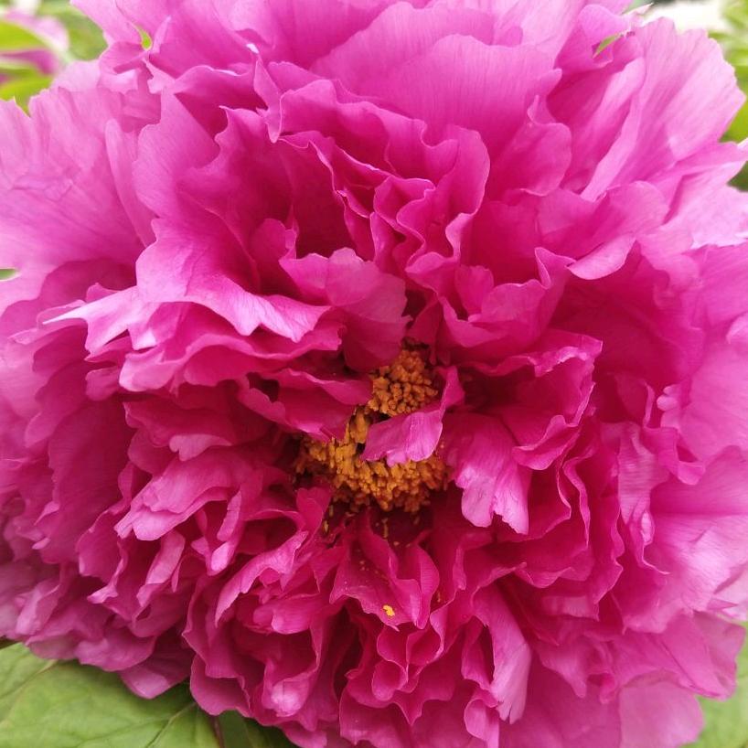 五金机电水泵大全