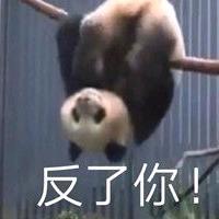 反了你
