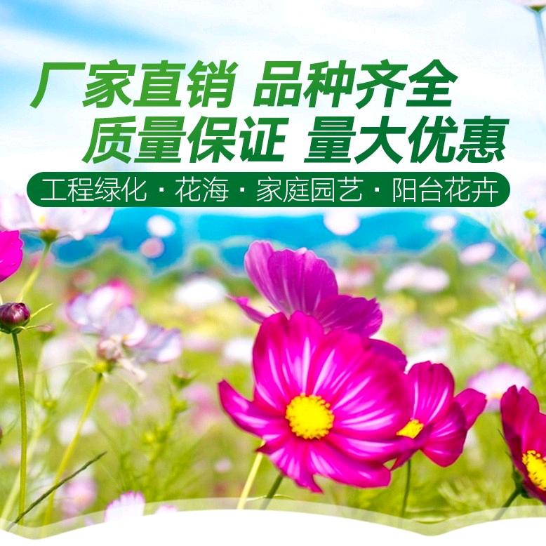 森彤园艺