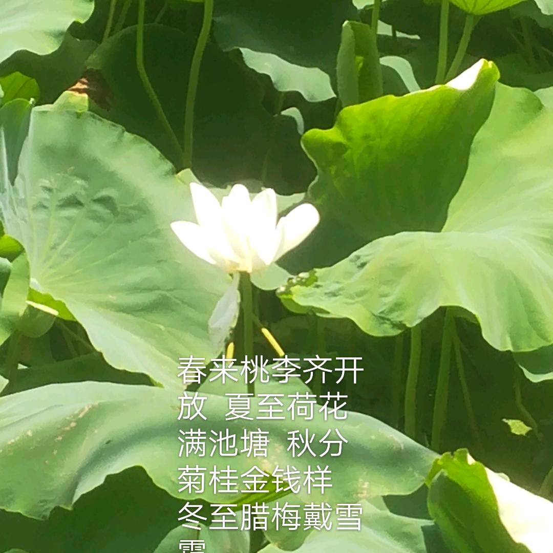 老范  浙江圣邦液压