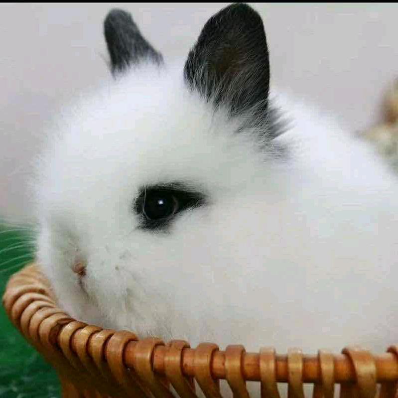 未来可期