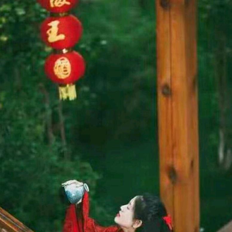 西北狼二哥