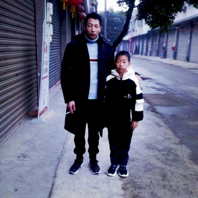蝶弦
