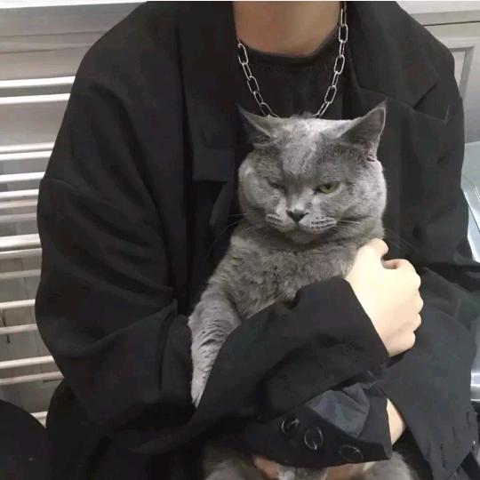 钢琴家