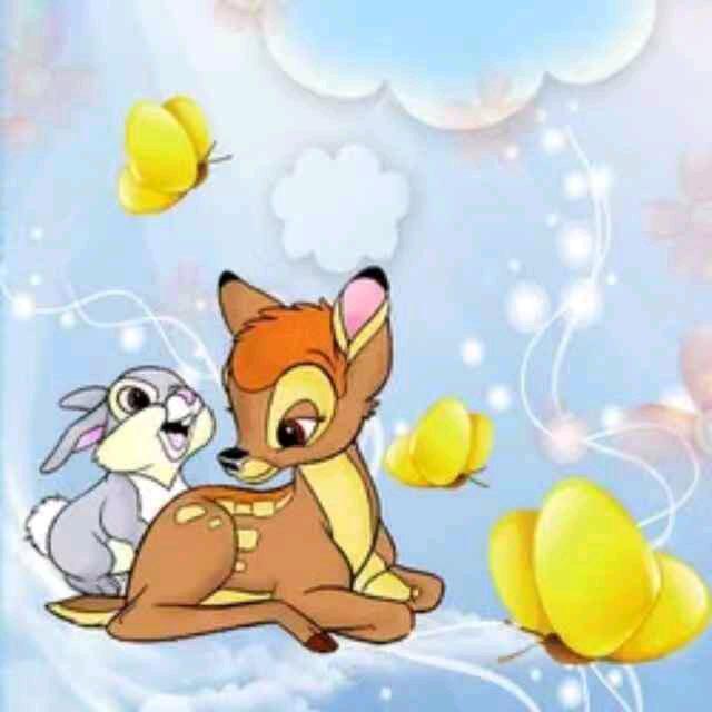 小白兔🐇