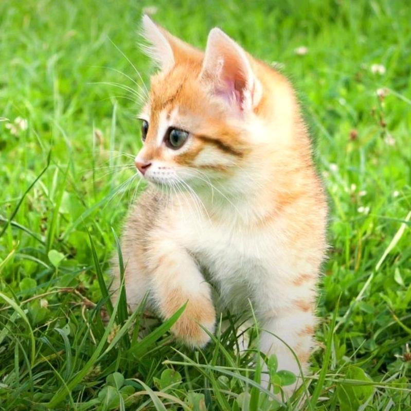 🌹一🌺见💐钟👭情