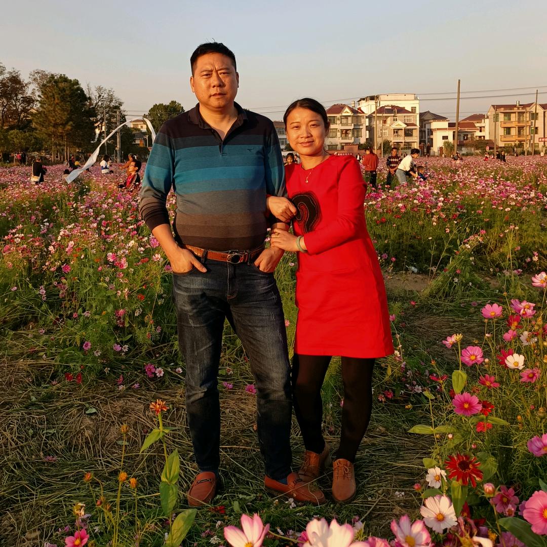 樟树府上包老敖