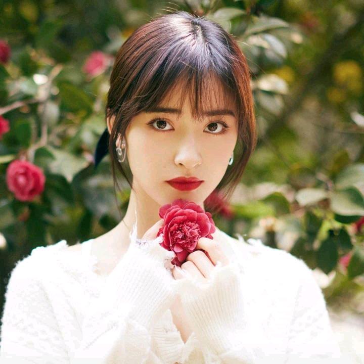 甄选每日好物分享