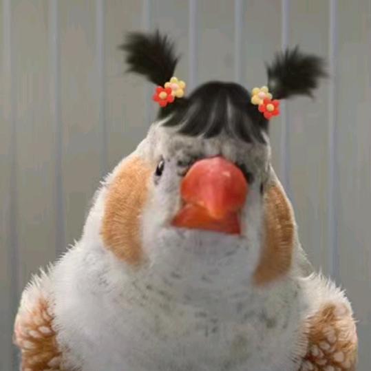 你是谁的谁