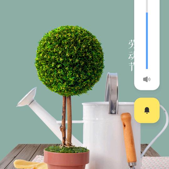 安鑫苗木