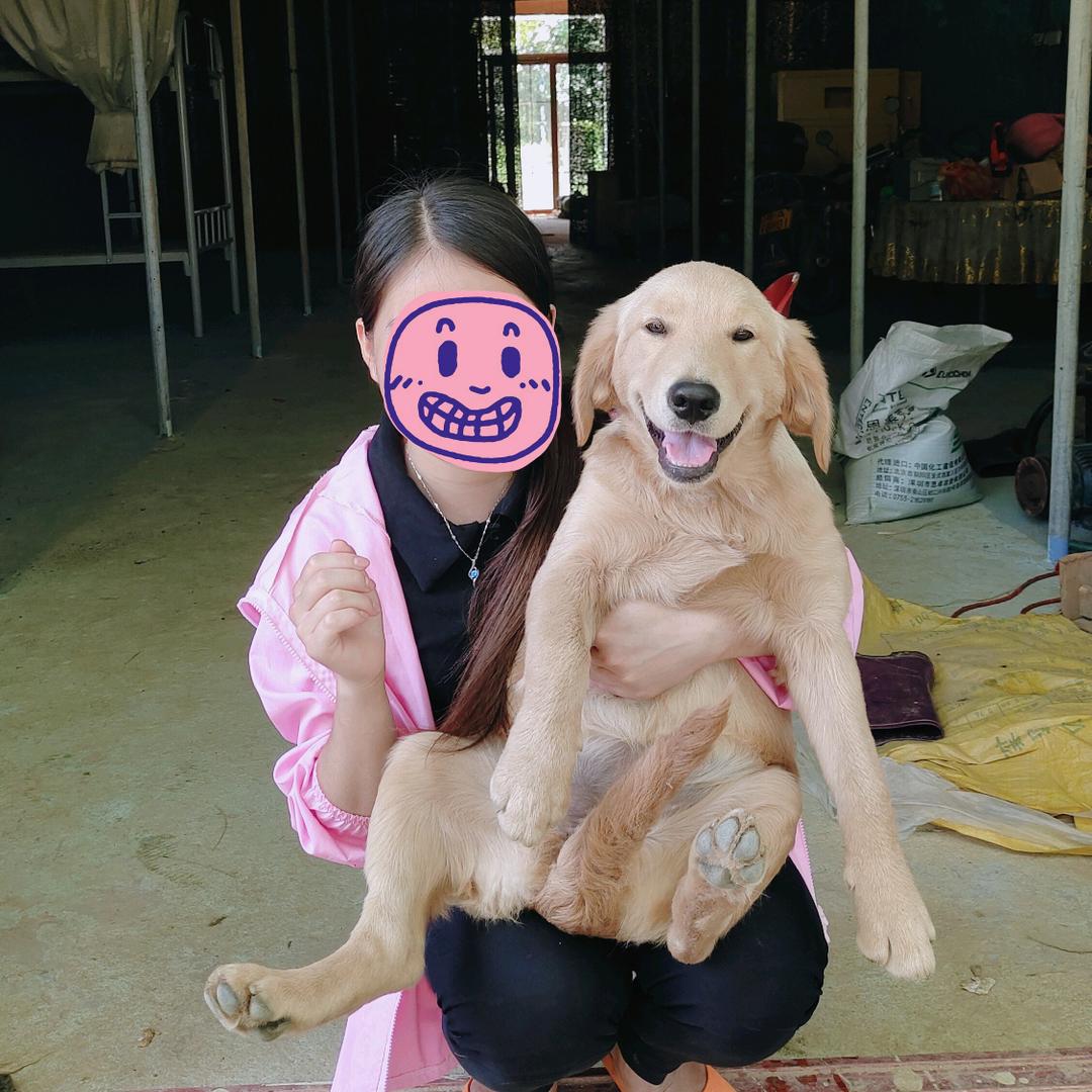 沙雕