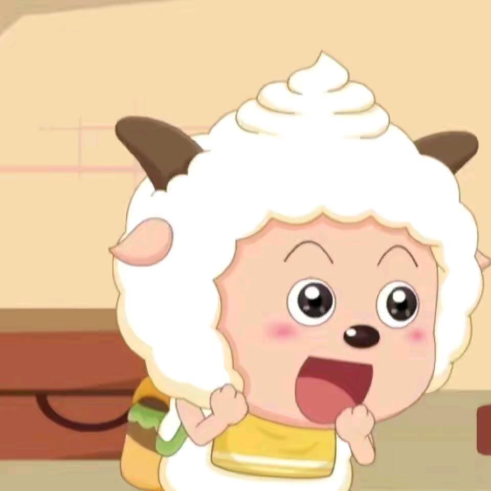 树袋熊