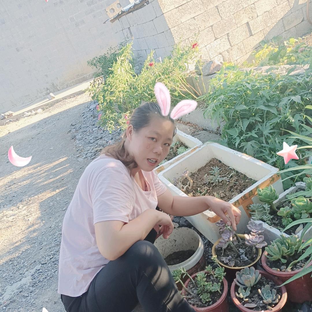 美丽心情