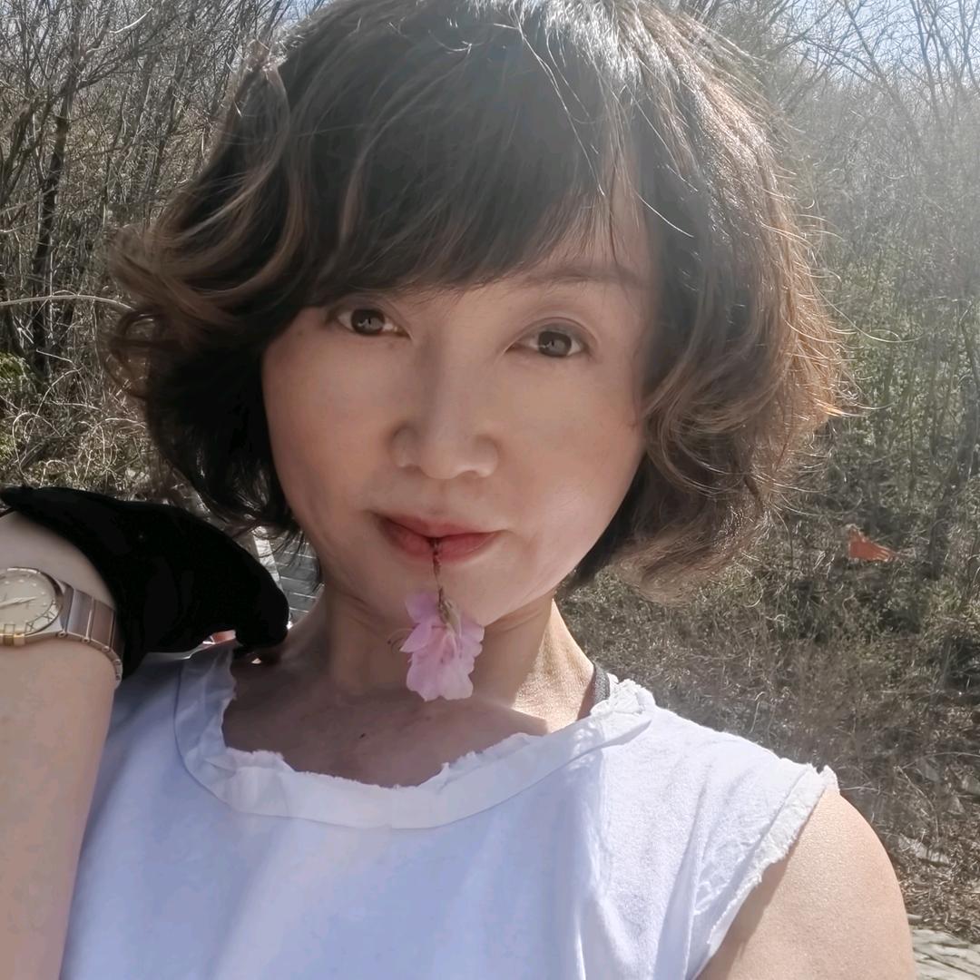 庄河市杭州窗帘在万达广场对面