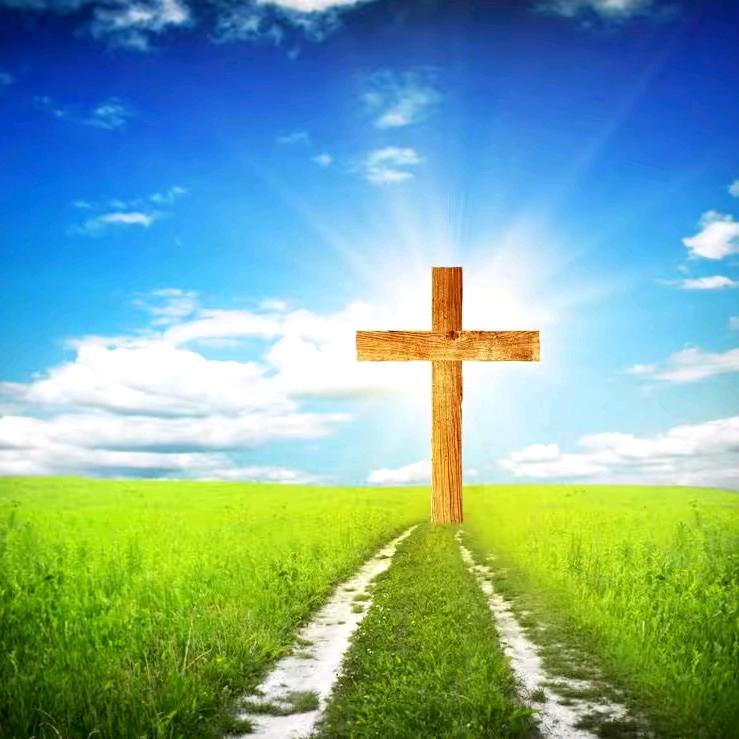 蓝雪(爱上手势舞)