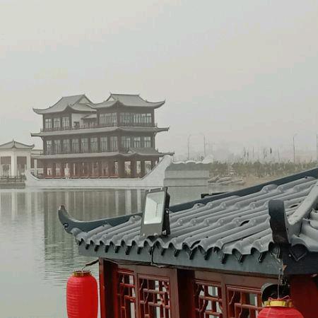 钓鱼要到岛上钓