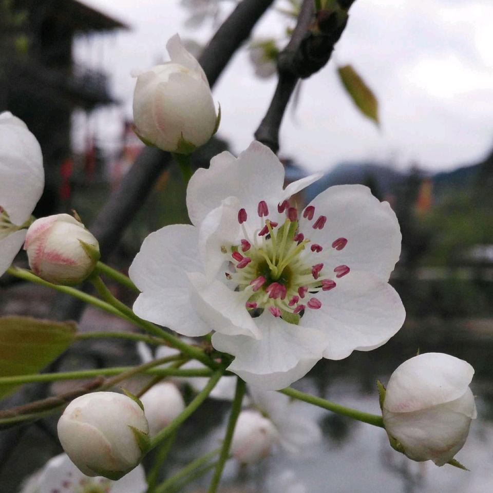 熊应雨