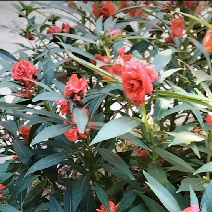 用户1330187391633