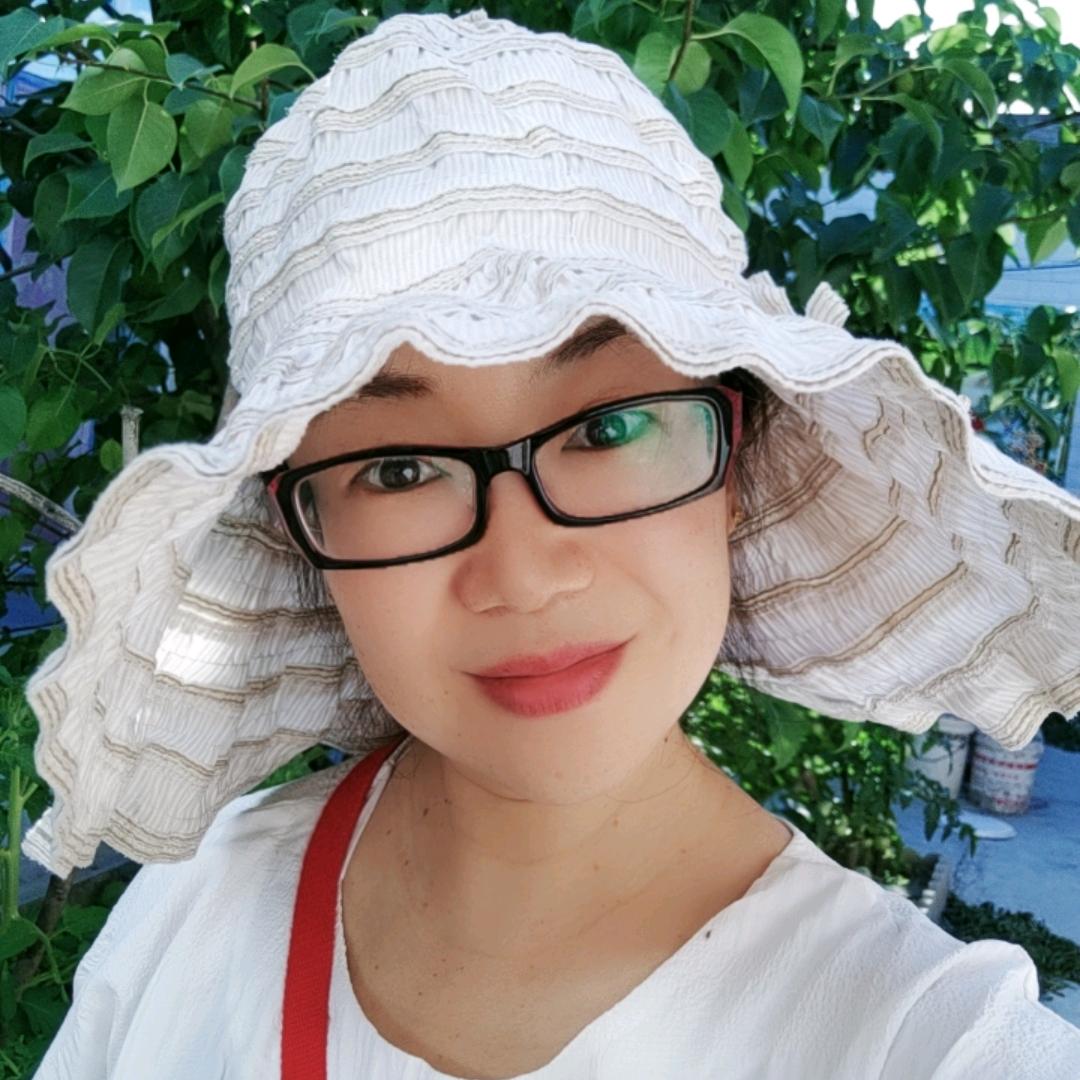 阳光小文