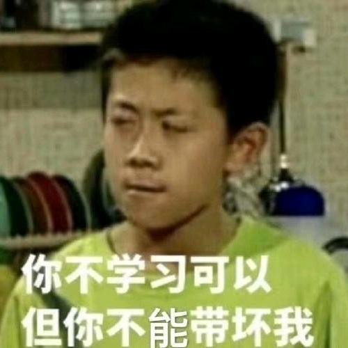 Lee   Lin