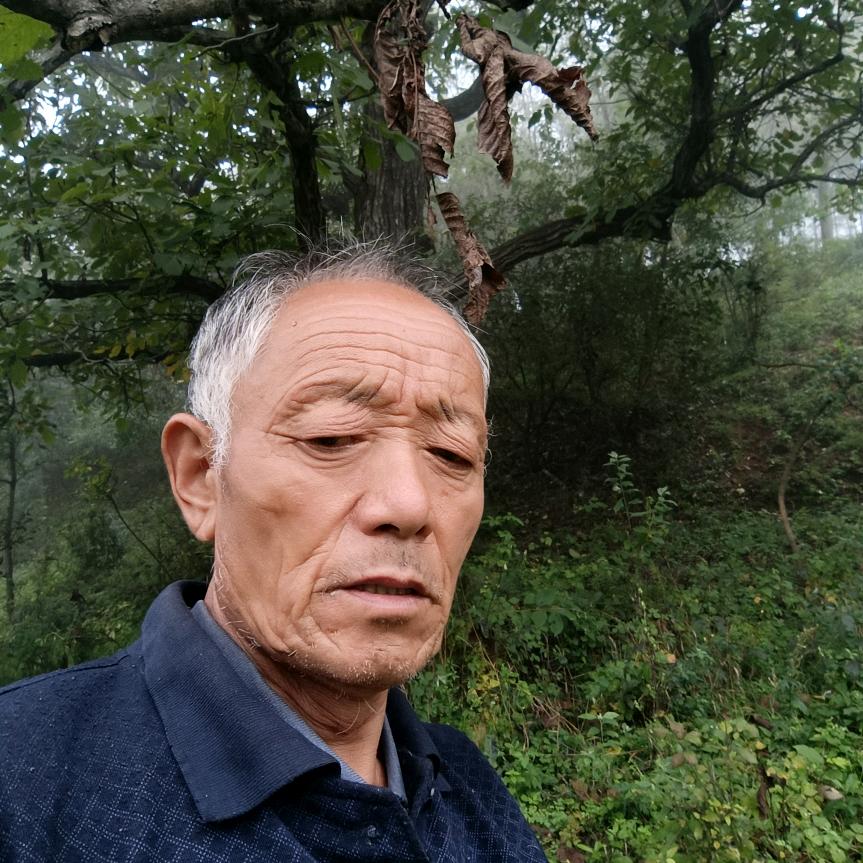 李哥短视频（大号）