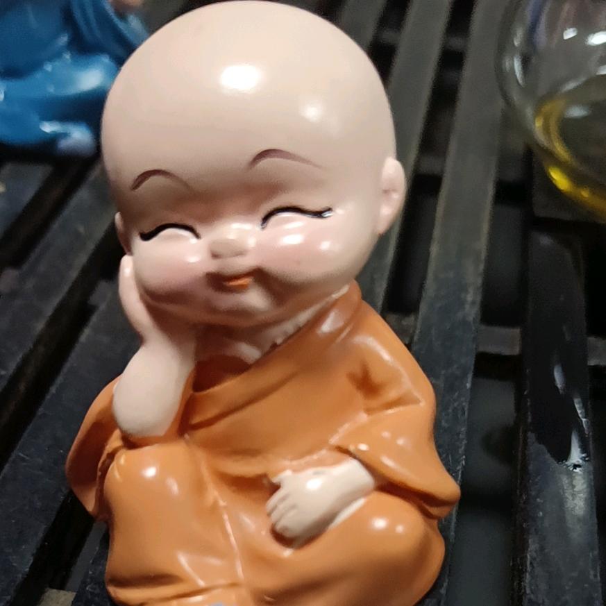 康康