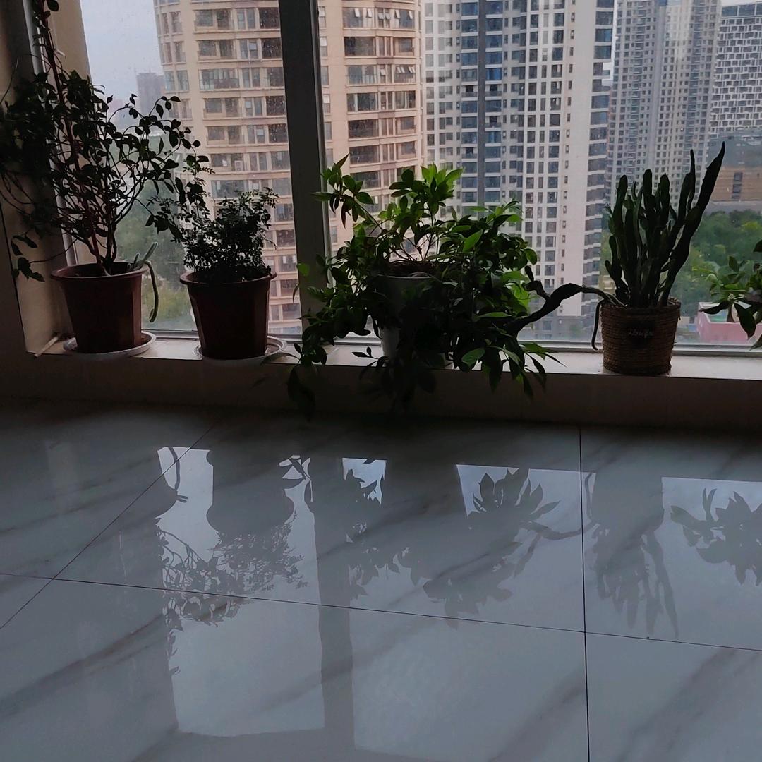 郭益坊