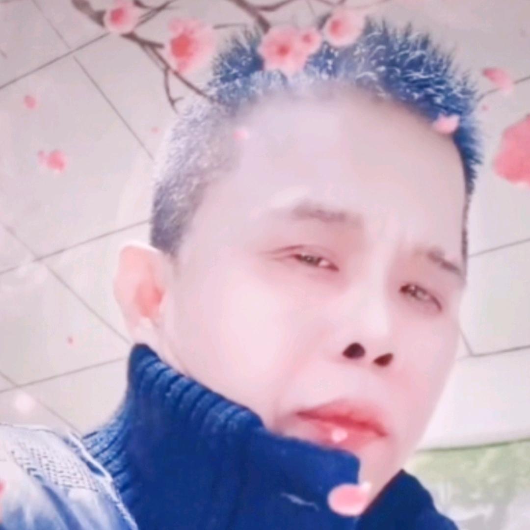 七星瑶光