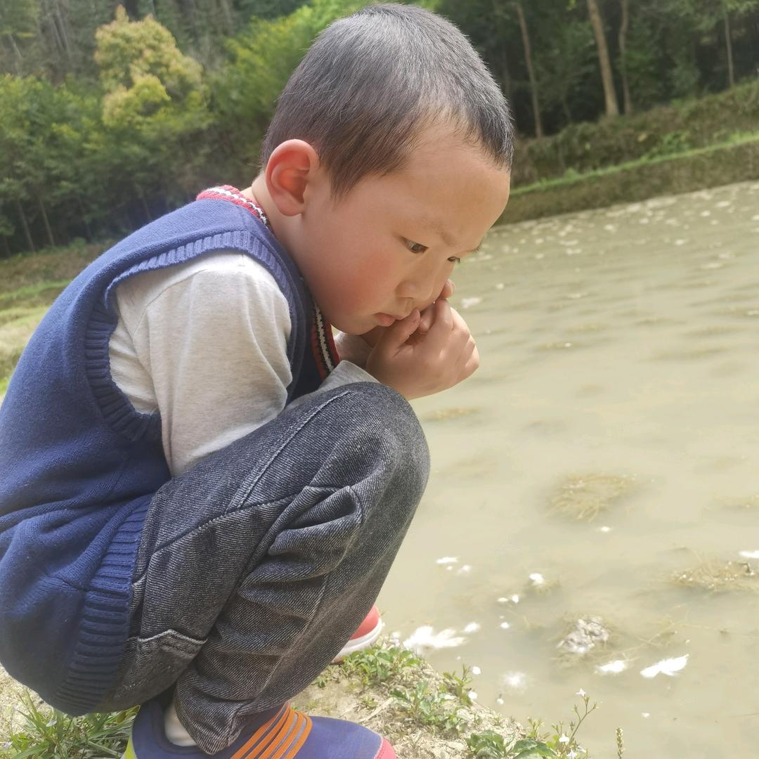 人生若只初相见