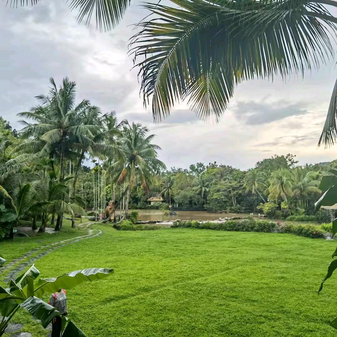 羊🐏爱上了狼🐺