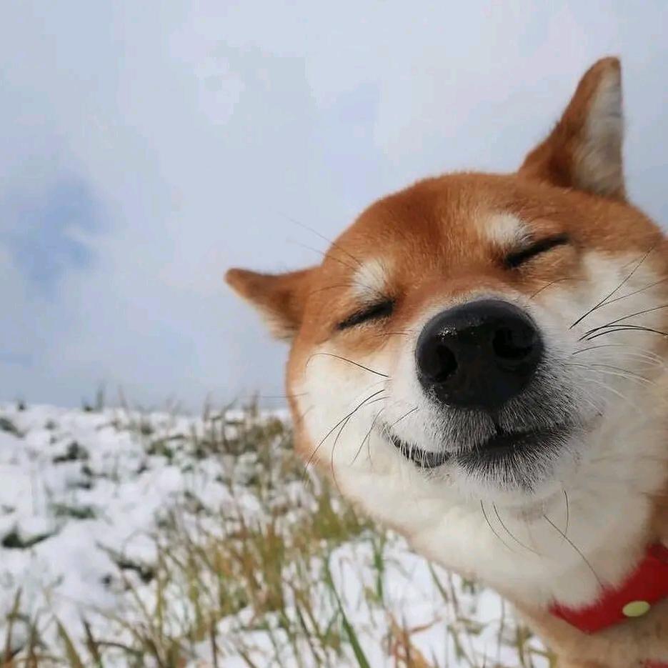 伴和