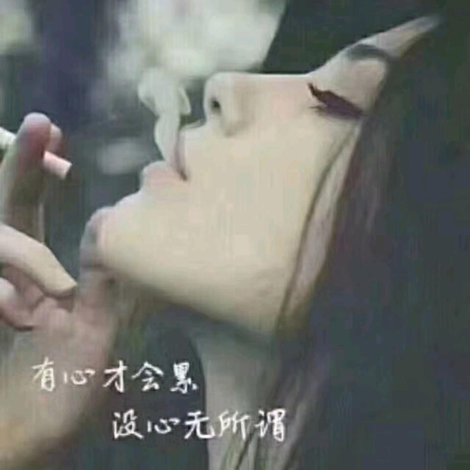 红尘总有梦