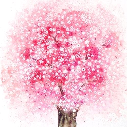 沐沐🐰