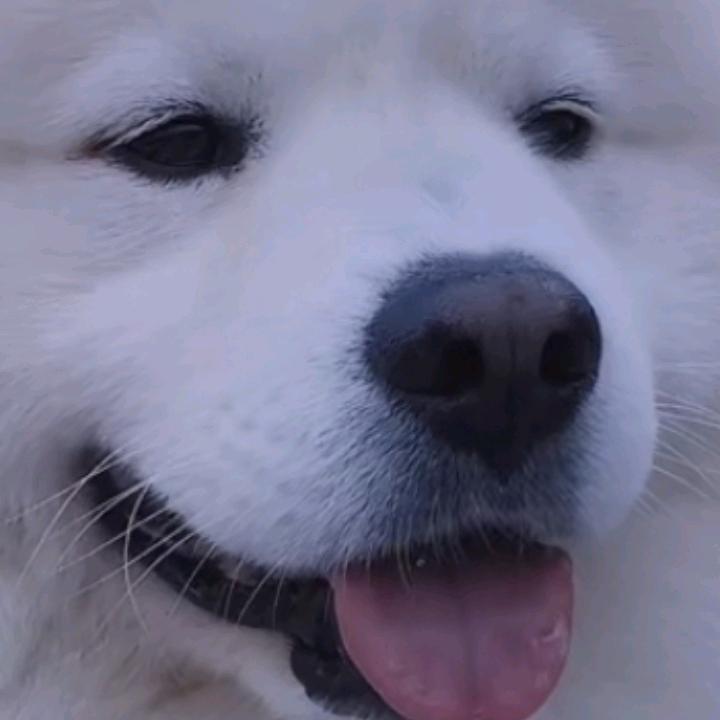 陈小北