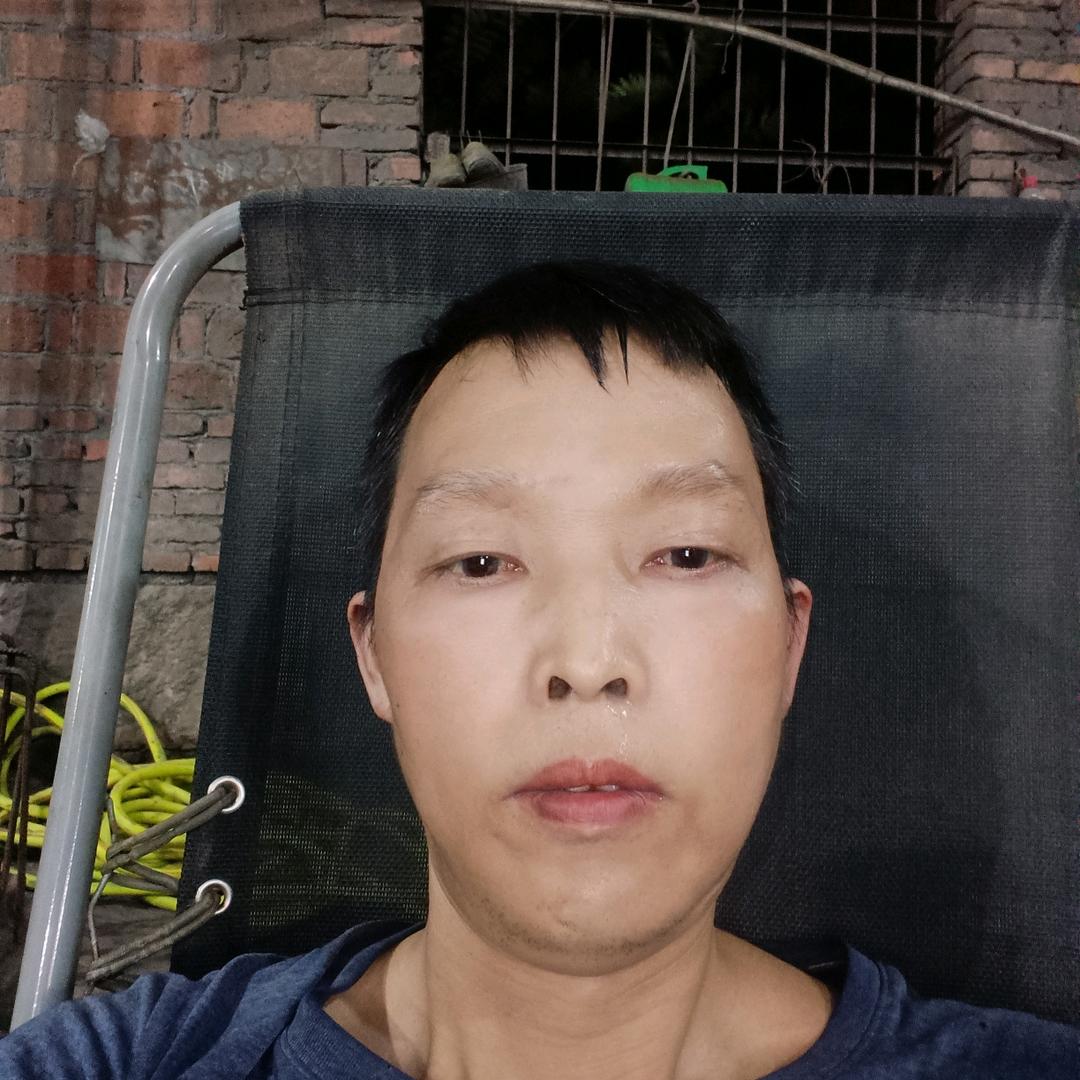 鸿哥来了