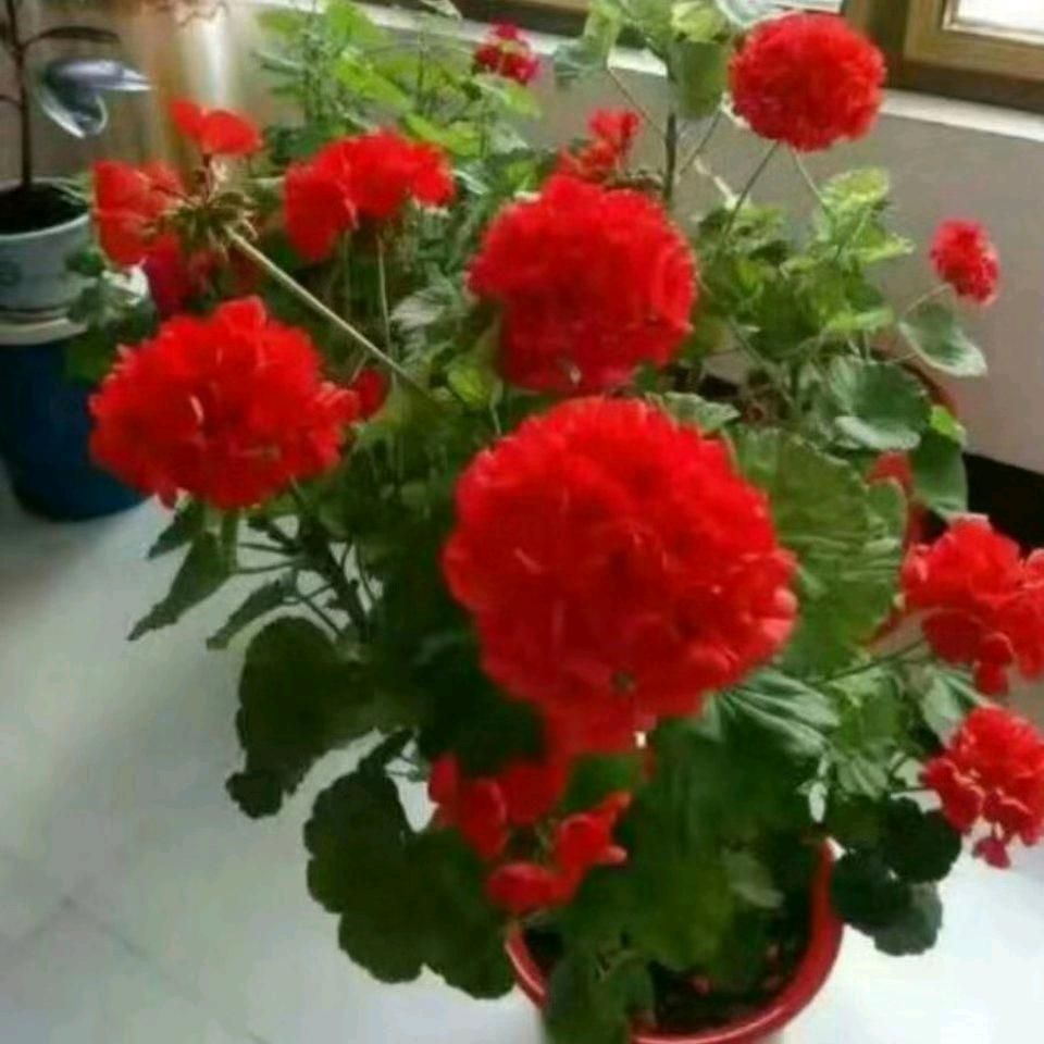 一生平安