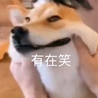 欸，你还活着不