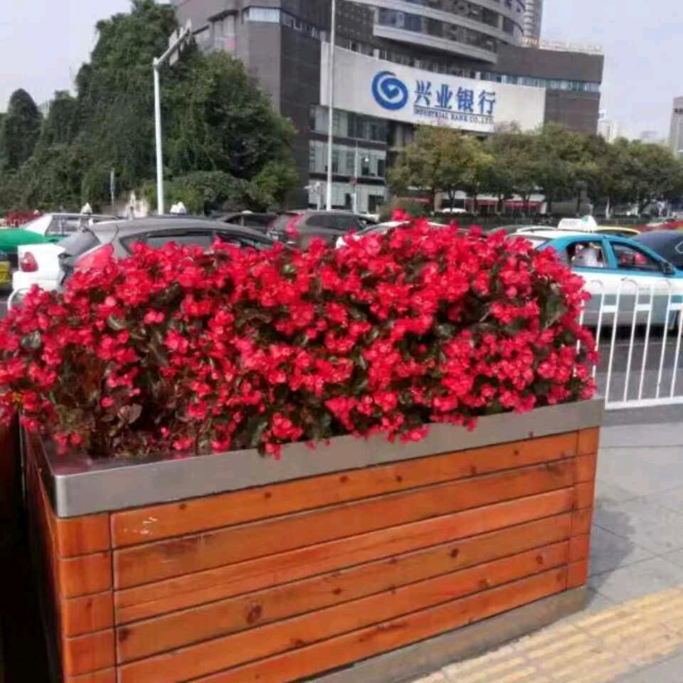 颖火虫和海星❤️