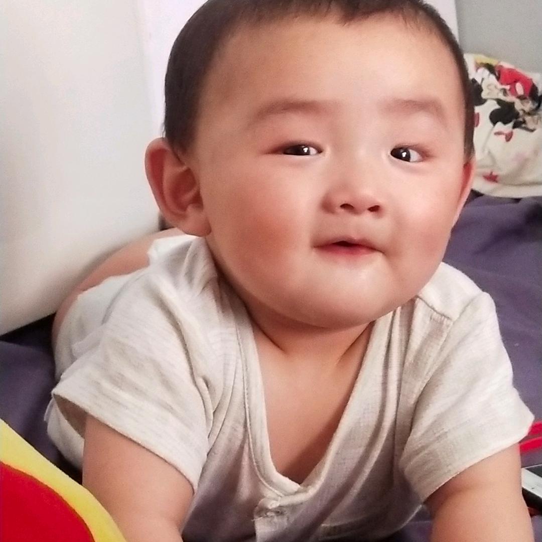 重现江湖青哥