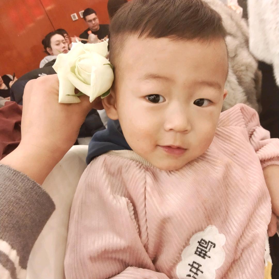 蒙鲜清真牛羊肉类批发