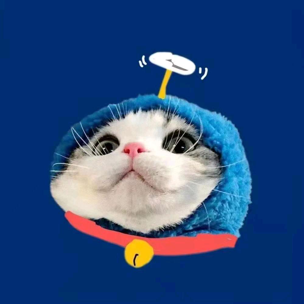 肘子柚